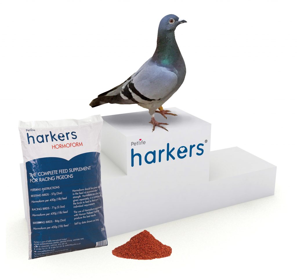 We'll be exhibiting at the South of England Pigeon Show We'll be exhibiting at the South of England Pigeon Show