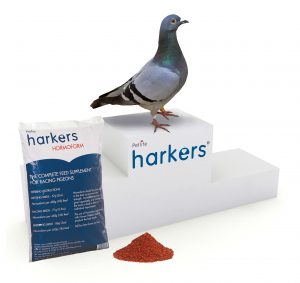 Harkers-Hormoform-Bird-of-the-Year
