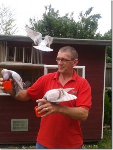 Paul Askew with his pigeons