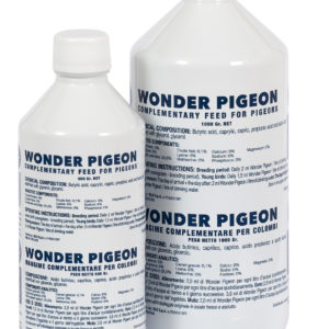 Wonder Pigeon