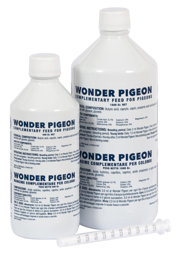 Wonder Pigeon